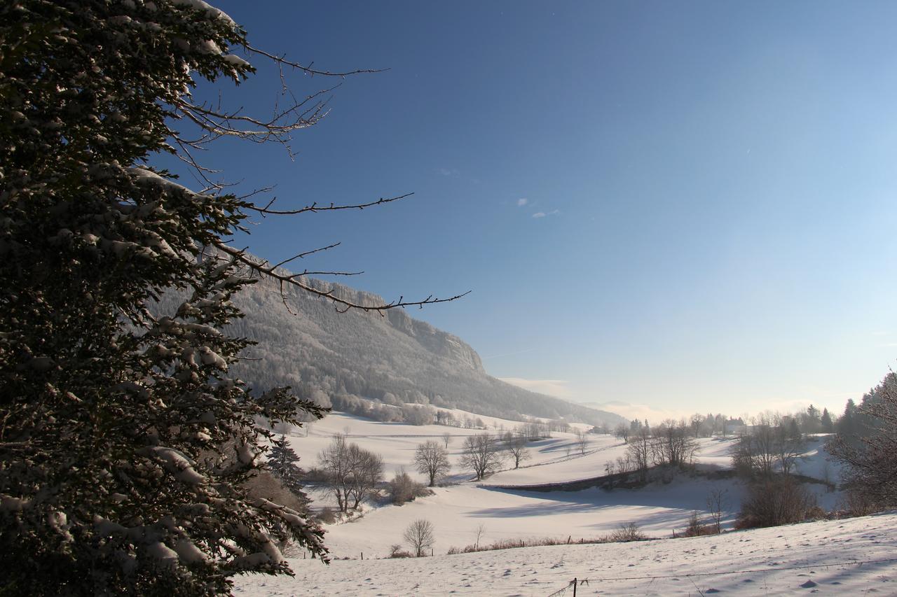 Cafe Brochier Hotel Saint-Julien-en-Vercors Exterior photo